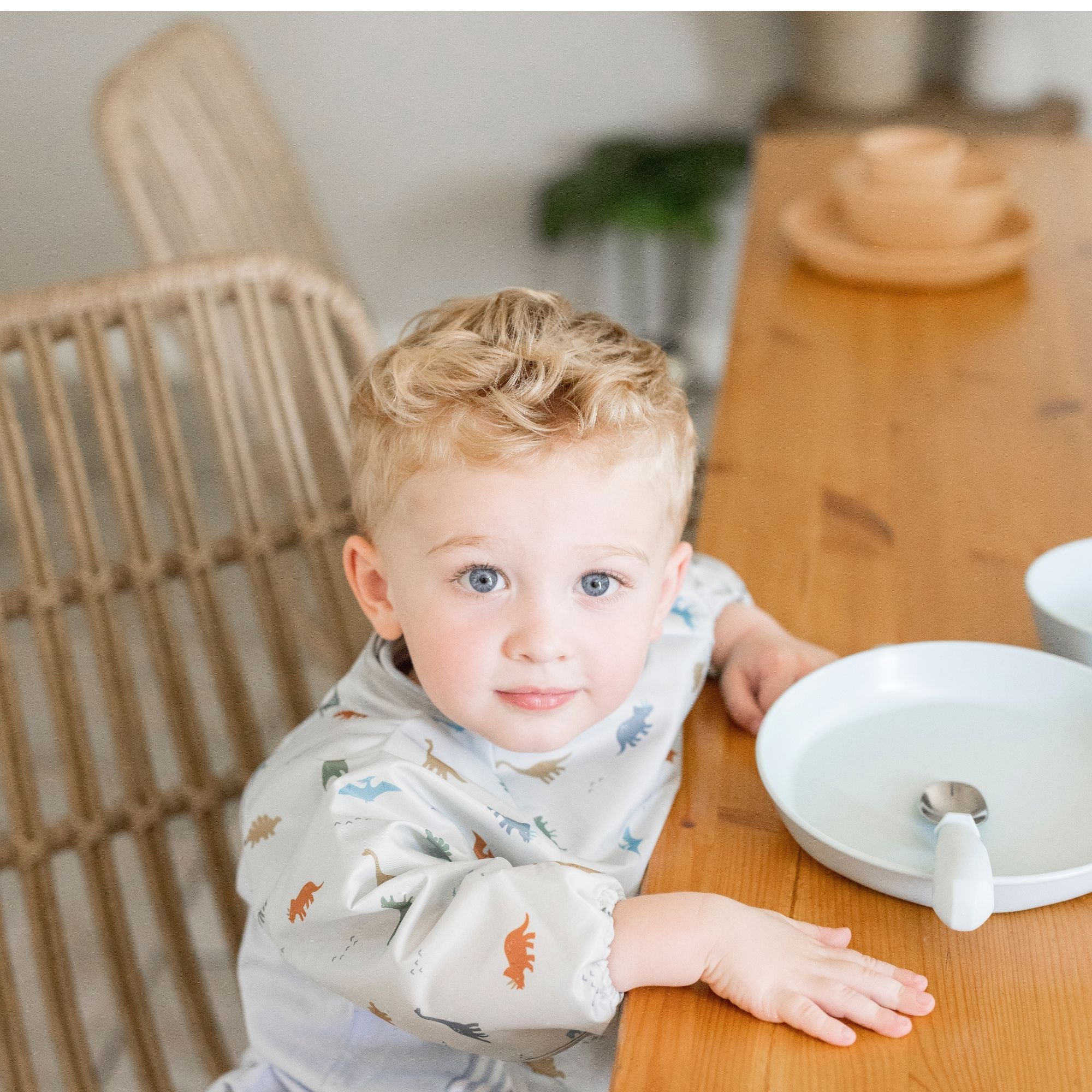 Tiny Twinkle - Mess - Proof Long Sleeve Bib - Dinosaur - Small/Large